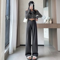 西装阔腿女2024春季宽松休闲高腰显瘦直筒裤垂坠感拖地