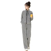 现货欧货运动套装女春秋2024新款时尚洋气撞色条纹立领卫衣两件套