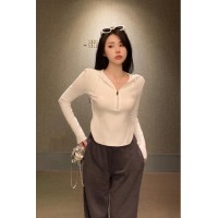 长袖T恤女2024春季新品帽小个子拉链上衣设计感修身