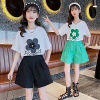 女童套装夏装2024新款中大童网红洋气女孩短袖休闲夏季短裤两件套