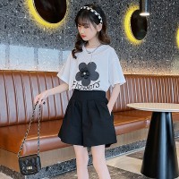 女童套装夏装2024新款中大童网红洋气女孩短袖休闲夏季短裤两件套