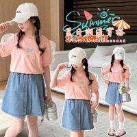 女童夏装套装2024新款休闲两件套