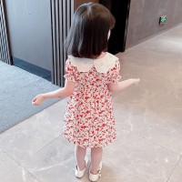女童连衣裙2024夏季新款小童韩版休闲裙子女孩可爱风娃娃领公主裙