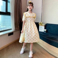 女童连衣裙夏装2024新款洋气中大童网红女孩夏季公主裙儿童装裙子
