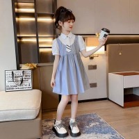 女童连衣裙夏装2024新款儿童网红公主裙洋气夏季大童假两件背带裙