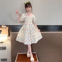 女童连衣裙夏装2024新款儿童夏季洋气网红裙子女孩大童碎花公主裙