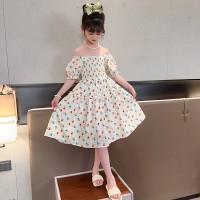 女童连衣裙夏装2024新款儿童夏季洋气网红裙子女孩大童碎花公主裙