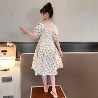 女童连衣裙夏装2024新款儿童夏季洋气网红裙子女孩大童碎花公主裙