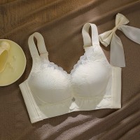 小胸聚拢中厚性感蕾丝内衣上托收副乳无钢圈舒适透气文胸女