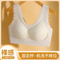 直播一体式蕾丝无痕固体杯乳胶运动内衣无钢圈聚拢文胸裸感美背女