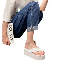 厚底人字拖拖鞋女夏外穿坡跟纯色时尚百搭防滑夹脚网红凉拖鞋跨境