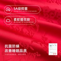 新中式长袖缎面薄款睡衣套装冰丝民族风家居服春夏可外穿睡衣女