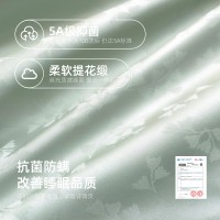 新中式短袖睡衣春秋款女高级感冰丝提花家居服可外穿睡衣套装夏季