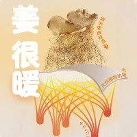 奥薇姿2024秋冬新款天丝美雅碧保暖裤女士轻暖收腹中腰打底裤子发