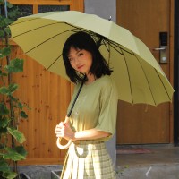 日系小清新16骨直杆自动雨伞长柄晴雨伞遮阳防晒男女雨伞大号雨伞