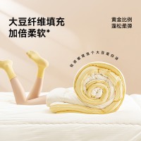 新款高精密提花黄油吐司被子被芯