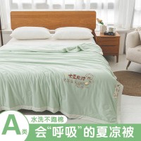 厂家2024年新款大豆原棉夏凉被A类母婴级夏被学生宿舍空调被