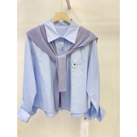 春季新复古纯色纯棉浅蓝色衬衫女