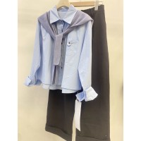 春季新复古纯色纯棉浅蓝色衬衫女