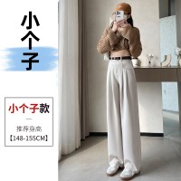 西装阔腿女2024春夏季宽松休闲高腰显瘦直筒裤垂坠感拖地裤