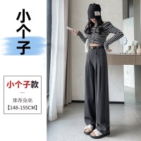 西装阔腿女2024春季宽松休闲高腰显瘦直筒裤垂坠感拖地