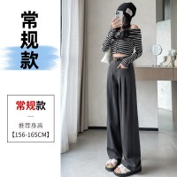 西装阔腿女2024春季宽松休闲高腰显瘦直筒裤垂坠感拖地