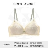 内衣女小胸聚拢显大无钢圈舒适收副乳性感蕾丝舒适文胸罩调整型