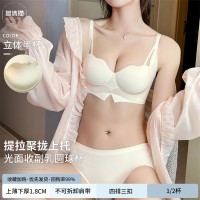 原版质量无痕无钢圈提拉小胸聚拢显大文胸防下垂外扩漫画胸