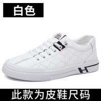 休闲单鞋男款2024新款豆豆鞋套脚潮流透气男式板鞋小白鞋