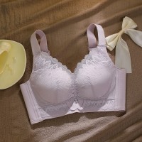 小胸聚拢中厚性感蕾丝内衣上托收副乳无钢圈舒适透气文胸女