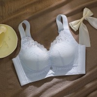 小胸聚拢中厚性感蕾丝内衣上托收副乳无钢圈舒适透气文胸女