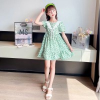 女童连衣裙2024新款儿童公主裙夏季洋气女孩碎花裙夏装裙子潮花边