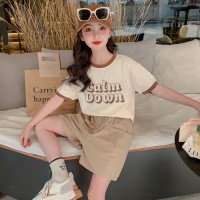 女童夏款套装2024洋气新款儿童夏季休闲薄款短袖短裤女孩网红夏装