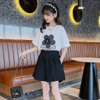 女童套装夏装2024新款中大童网红洋气女孩短袖休闲夏季短裤两件套